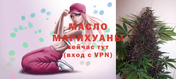 твердый Горняк
